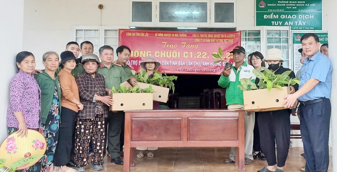 Đắk Lắk hỗ trợ giống cây trồng giúp nhân dân khôi phục sản xuất, ổn định đời sống sau thiên tai